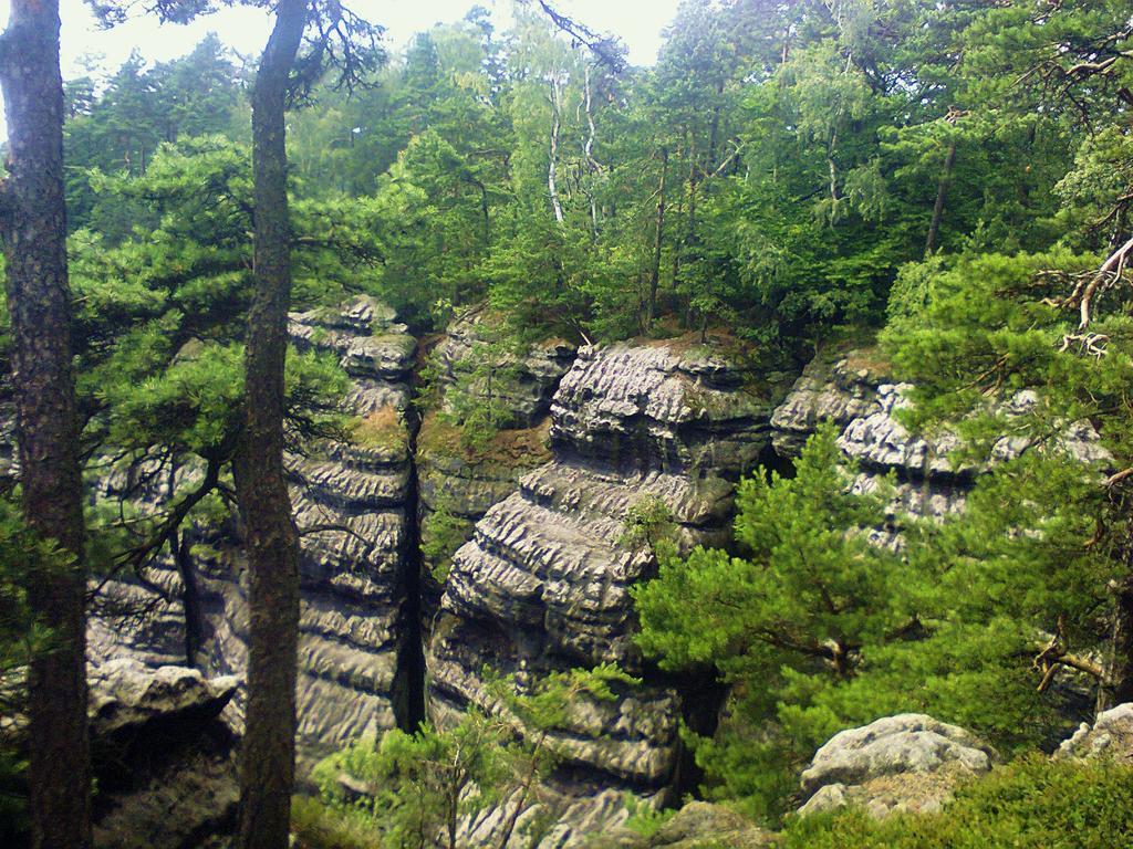 Ubytování U Potoka Kunratice (Usti nad Labem) Exterior foto