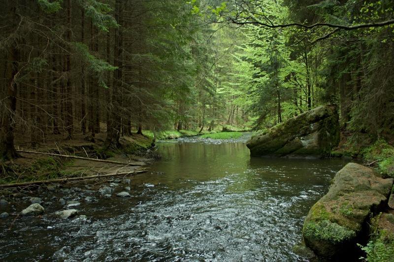 Ubytování U Potoka Kunratice (Usti nad Labem) Exterior foto