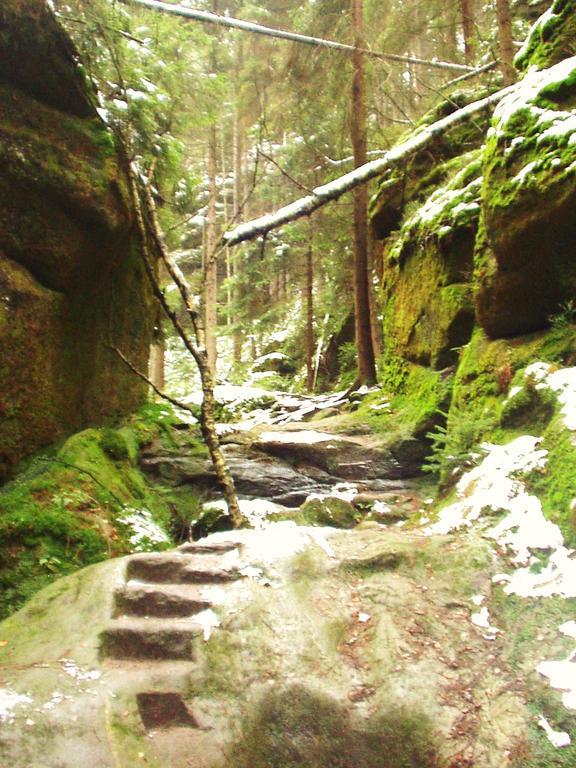 Ubytování U Potoka Kunratice (Usti nad Labem) Exterior foto